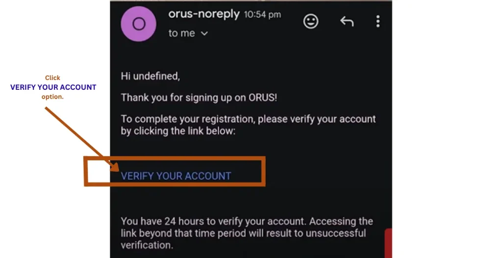 It contains the verification message that is sent from the ORUS BIR site to the applicants provided email. 
This is a verification message. 
The purpose of this screenshot is to give an idea to the applicants that how the verification message looks like and to show them the link that needs to be clicked to complete the verification process.  
The link is highlighted in this image.
This is an important step for the online registration for the TIN in the Philippines. 