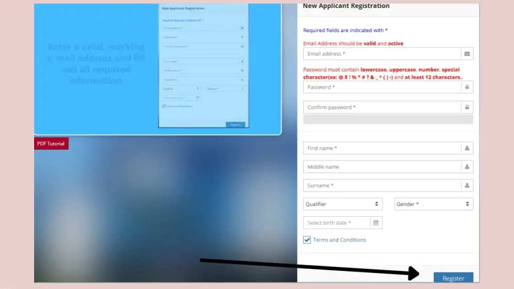 New Applicant Registration form on the NPCS portal requiring personal details, email address, password, and agreement to the Terms and Conditions.